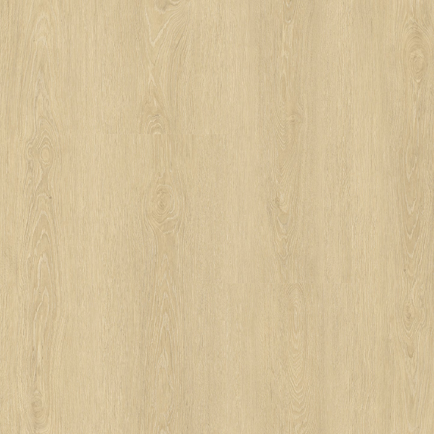Calatrava Oak wide plank laminate flooring swatch