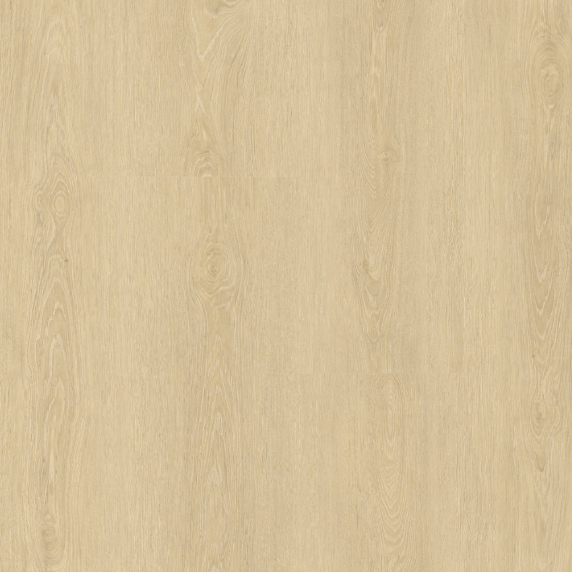 Calatrava Oak wide plank laminate flooring swatch